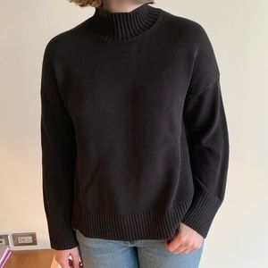 Everlane Cotton Boxy Turtlneck